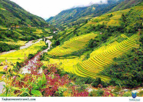 Tour Du Lịch Mai Châu 2 ngày 1 đêm