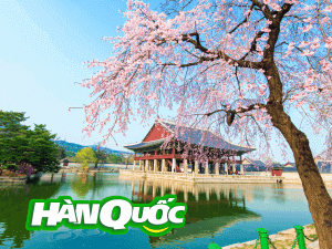 TOUR HÀN QUỐC - SEOUL – MORING CALM (HOẶC ĐẢO NAMI) – EVERLAND – DRUMCAT SHOW 5 ngày 4 đêm