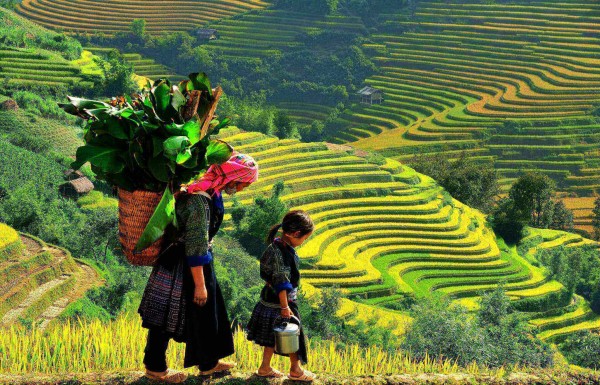 Tour du lịch Sapa 2 ngày 2 đêm