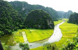 Tour Du Lịch Hoa Lư - Tam Cốc 1 ngày 