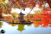 Tour Du Lịch Hàn Quốc - Seoul  - Everland – Nami 5 ngày 4 đêm