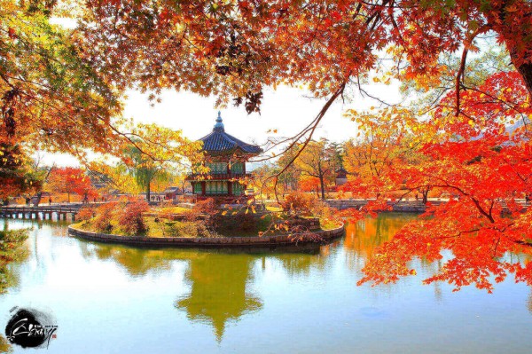 Tour Du Lịch Liên minh Hàn Quốc - Seoul - Nami - Everland 5 ngày 4 đêm