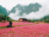 Tour Du Lịch Hà Giang - Cao Nguyên đá Đồng Văn 3 ngày 2 đêm