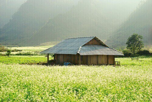 Tour Du Lịch Mộc Châu 3 ngày 2 đêm (Homestay)